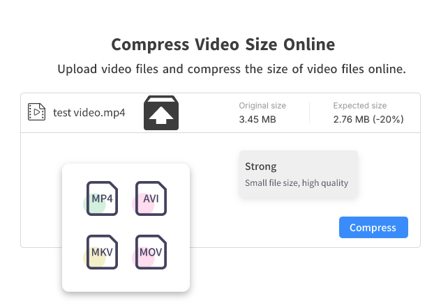 Supports multiple video formats